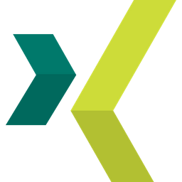 Xing | 变色龙VPN加速器